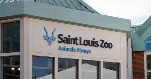 نشان باغوحش سنت لوئیس با حروف سیاه بر روی دیوار یک ساختمان عاجی با سقف سبز. زیر آن تابلو آبی روشن با نوشته «همیشه حیوانات» و تصویر یک گوزن همراستا قرار دارد.