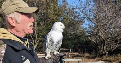 مردی که یک جغد سفید را روی بازوی خود گرفته است.