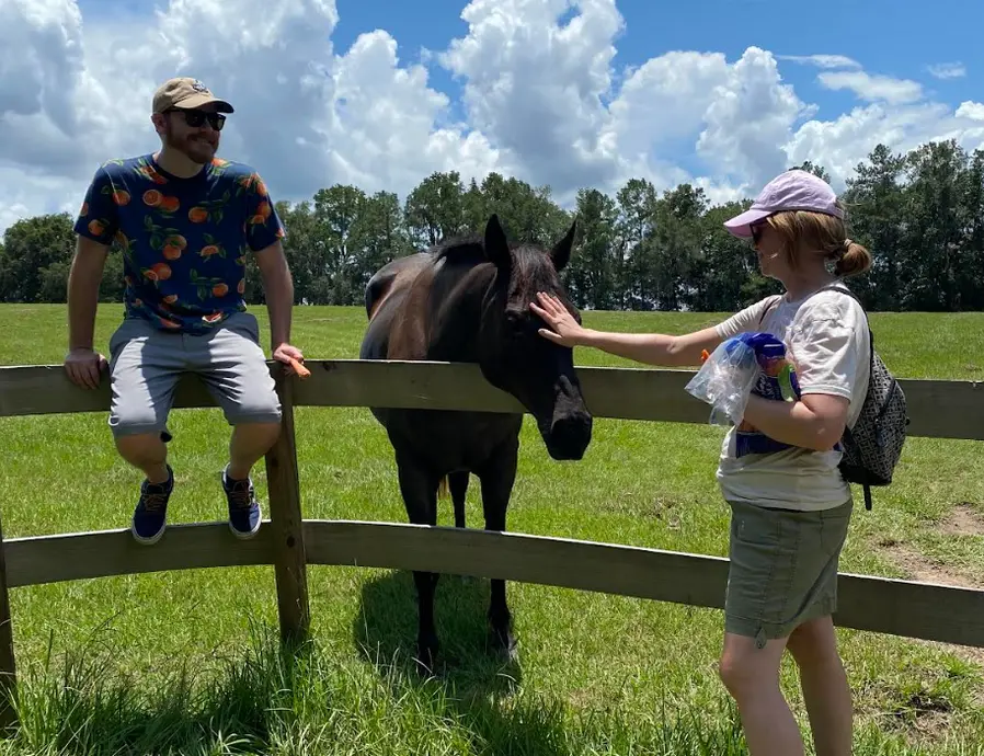 نویسنده با یک اسب در شهرستان آلاچوا، فلوریدا