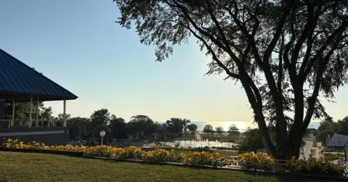 نمای پارکی با دیدی به دریاچه و گل‌های زرد.