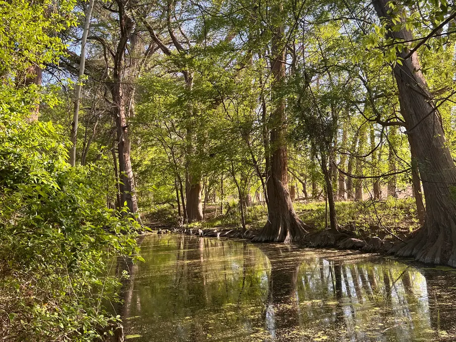 نمای وسیعی از طبیعت در مرکز طبیعت سی‌بولو.