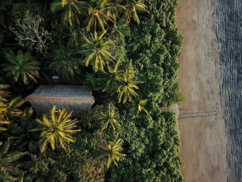 جزیره پالِنک