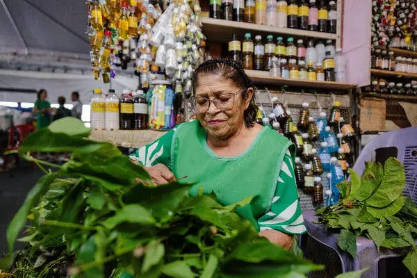 فردی با عینک و پیش‌پوشش سبز، در پیش‌زمینه گیاهان برگ‌دار سبز را مرتب می‌کند. بسیاری از بطری‌های کوچک روی قفسه‌ها و در پس‌زمینه آویزان هستند.