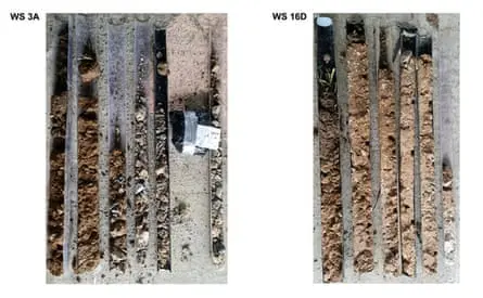 نمونه‌های خاک به‌کار رفته برای بررسی اینکه آیا دایره گودال‌های دورینگتون توسط انسان ساخته شده است