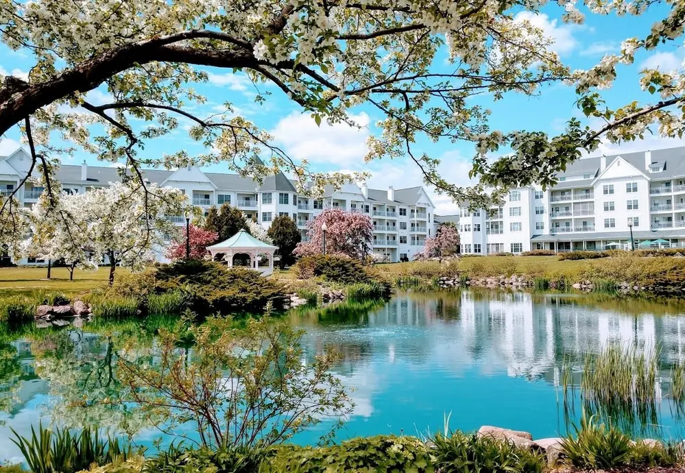 بهار استهوف