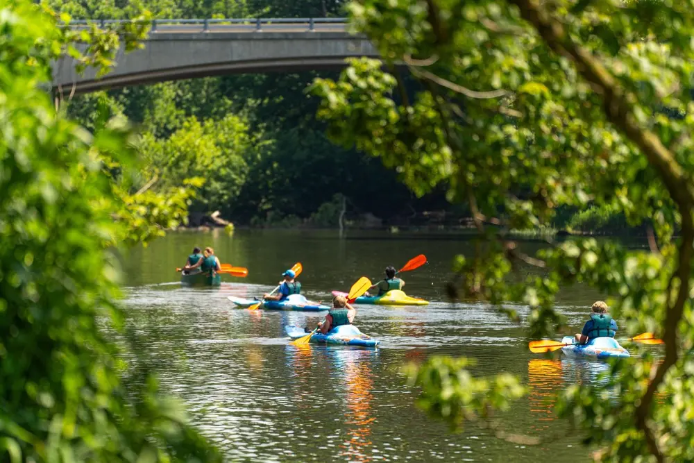 پارک فیربانکس رود سفید