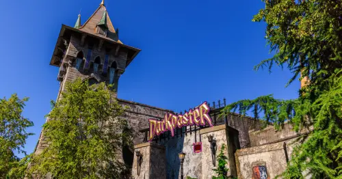 ترن هوایی هیجان‌انگیز در پارک موضوعی بوش گاردنز