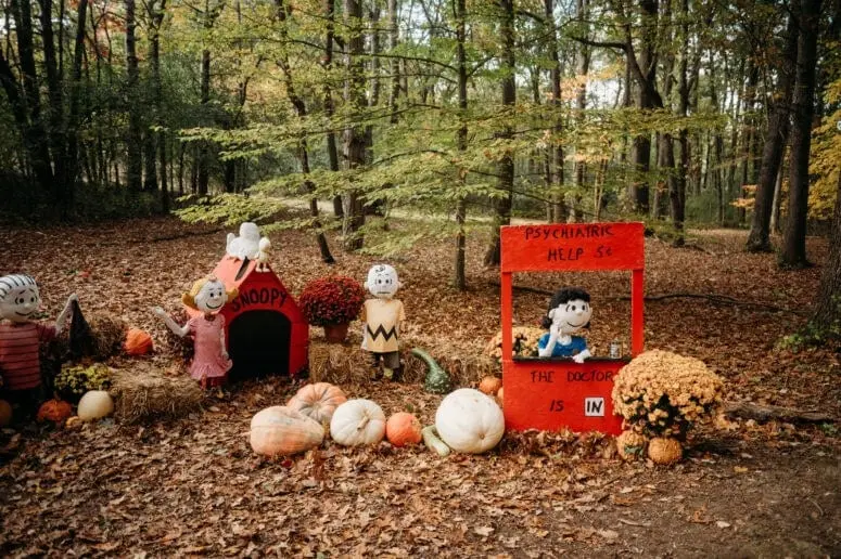 نورث‌فارثینگ – Awesome Mitten ۳۲