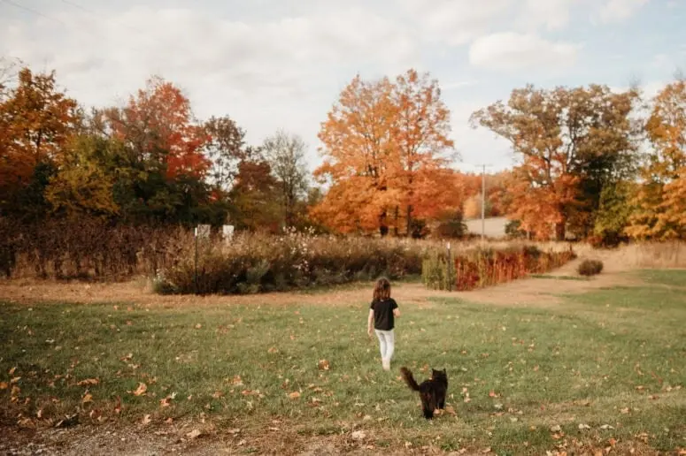 مزرعه و اقامت‌گاه نورث‌فارثینگ