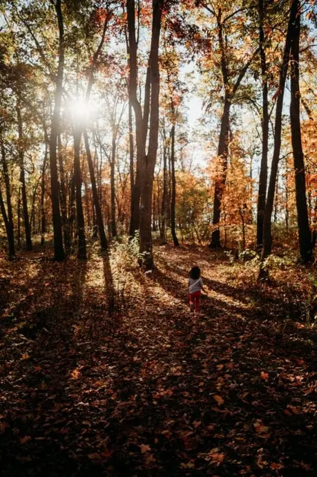 مسیرهای نورث‌فارثینگ