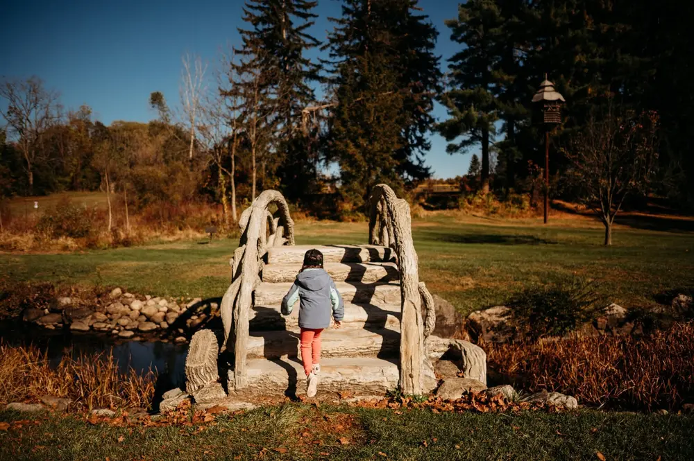 پارک مک‌کورت در سِمت سیتی