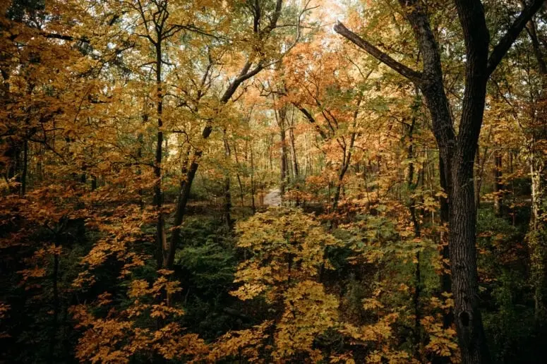 نورث‌فارثینگ – Awesome Mitten ۳۱