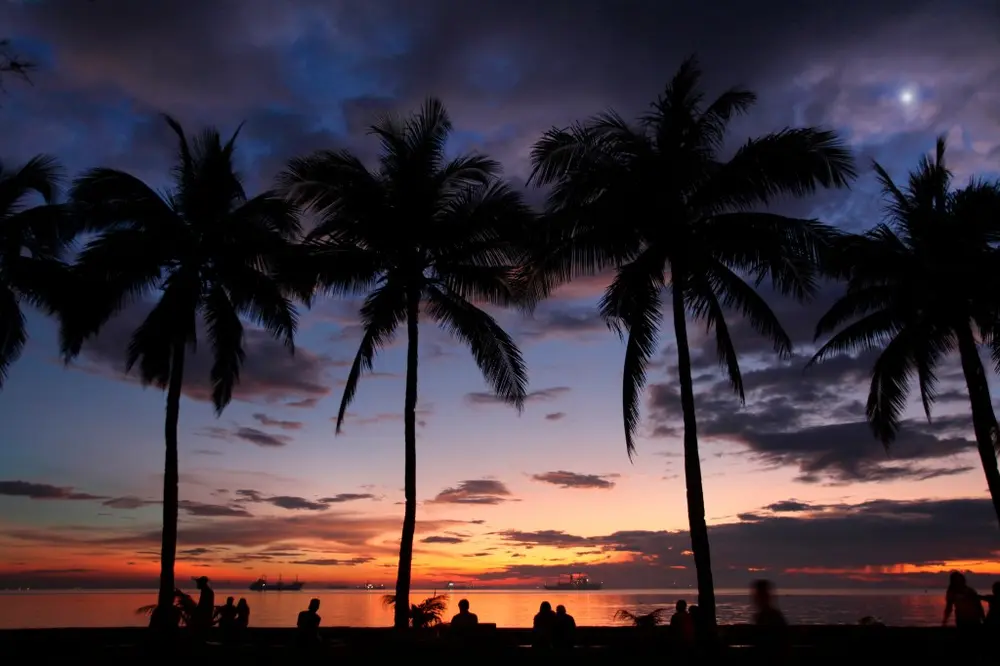 تصویر مانیل