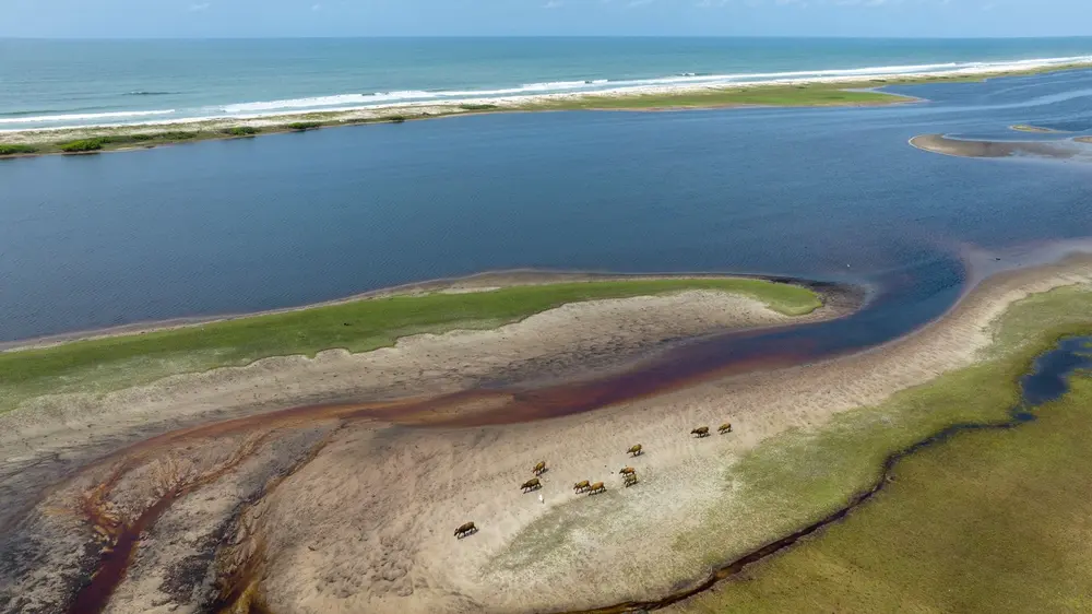 کمپ ساوانای لوانگو سیریل روسو