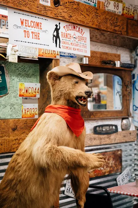 خرس پرشده در BBQ واتسون