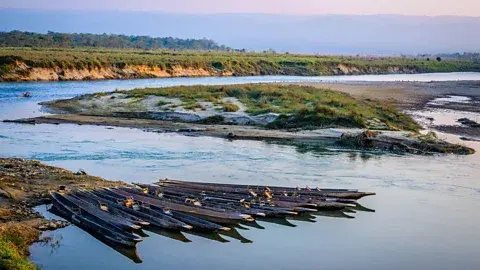 تصاویر گتی پارک ملی چیتوان یک میراث جهانی یونسکو است (اعتبار: تصاویر گتی)