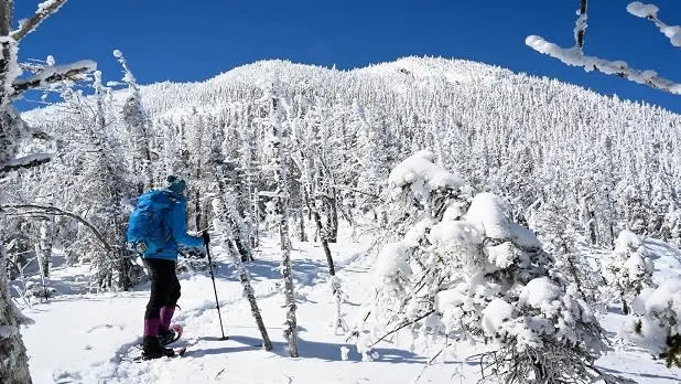 شخصی با پارک آبی که روی زمین زمستانی در آدیرونداکس برفکفش میپوشد