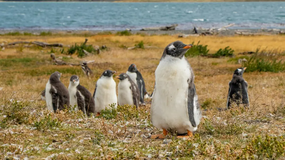 بهترین مکانهای جهان برای بازدید