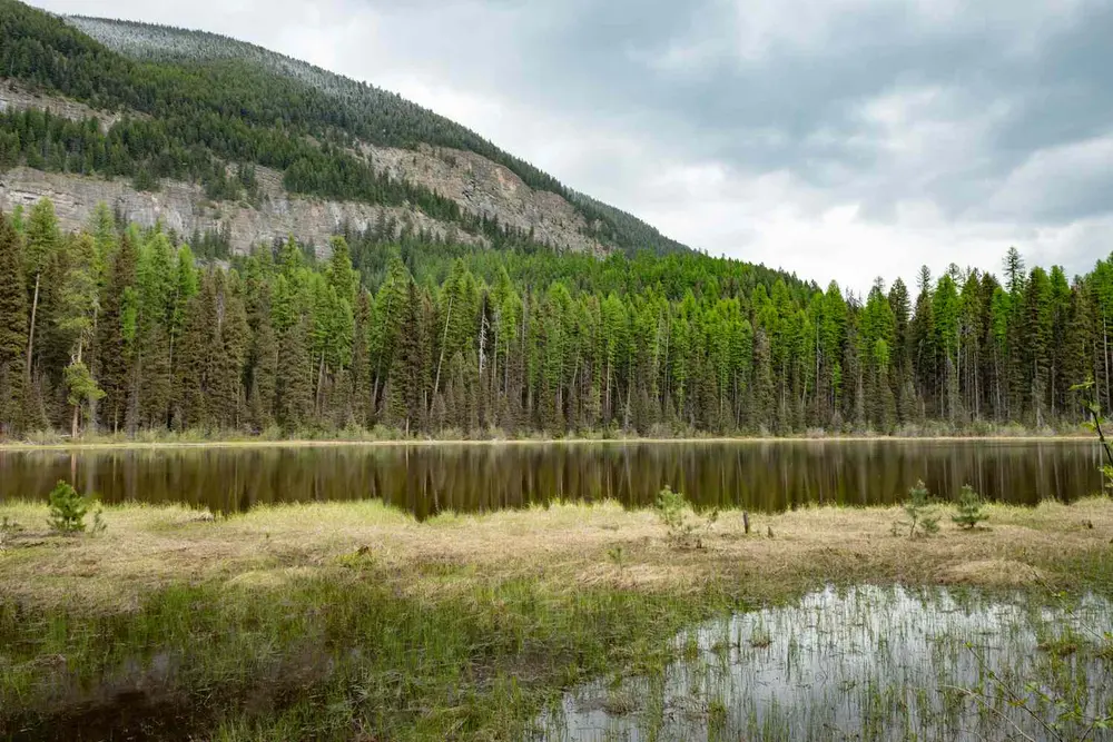 عکس منظره‌ای از دریاچه‌ای در جنگل ملی لولو که درختان را منعکس می‌کند