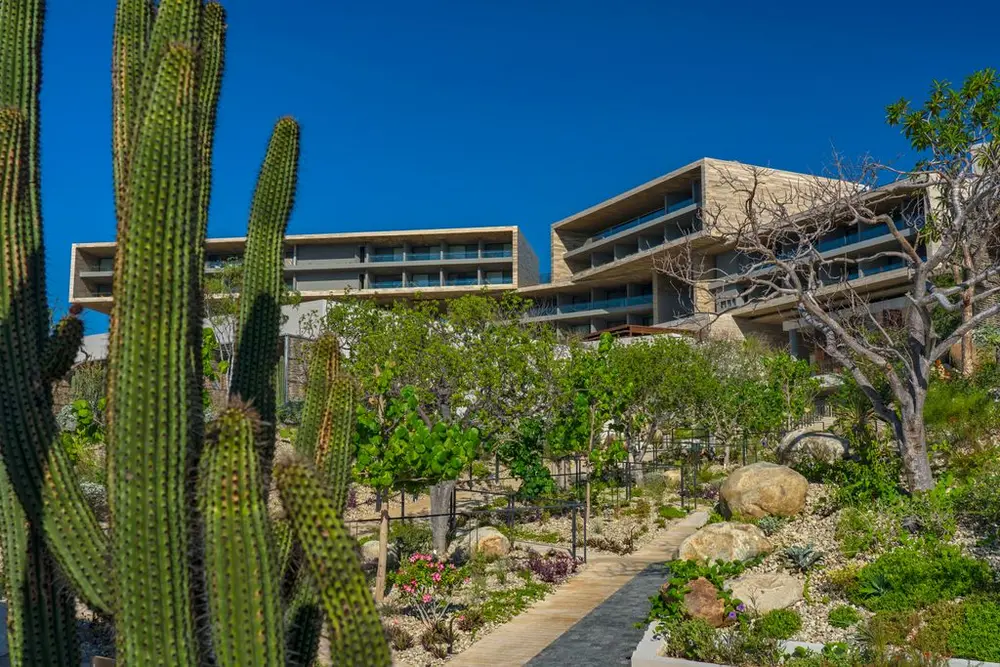 Solaz a Luxury Collection Resort Los Cabos