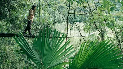 Getty Images تعداد افراد بیشتری در حال استفاده از هوش مصنوعی تولیدی برای برنامه‌ریزی و رزرو سفر بعدی خود هستند (منبع: Getty Images)