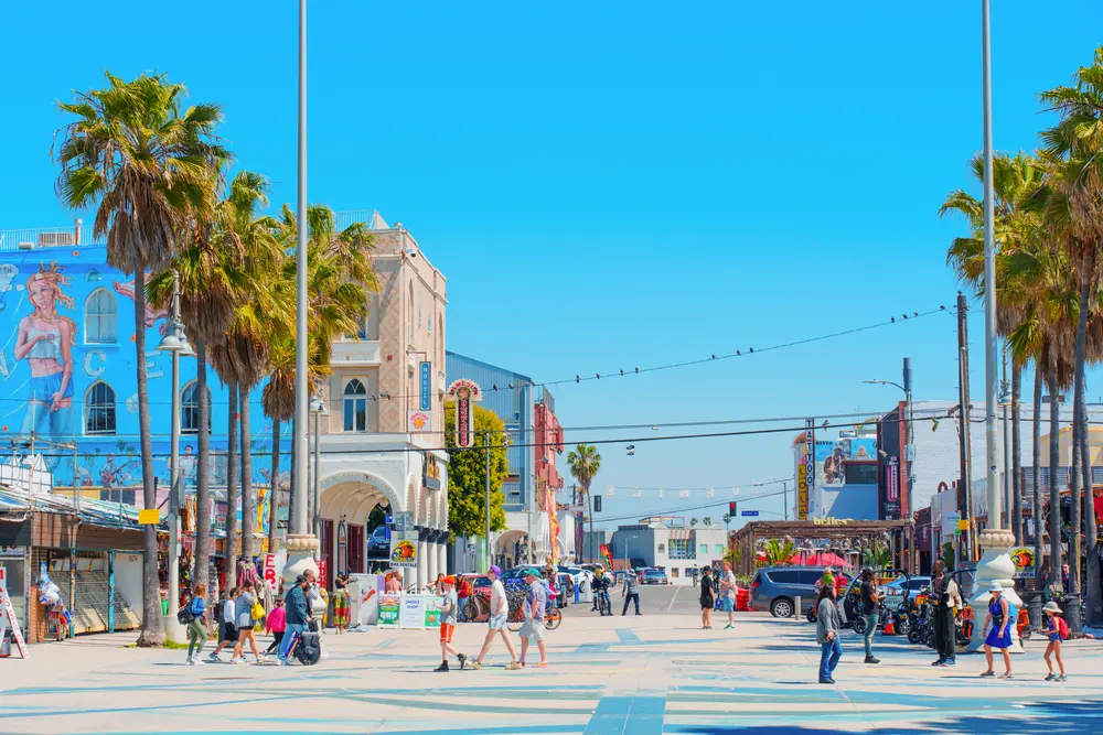 صحنه شلوغ رواج مسیر ونيس بيچ با درختان نخل، عابران پیاده، دوچرخه‌سواران و افرادی که از روز آفتابی لذت می‌برند. دیوارنگاره‌ها و فروشگاه‌ها در امتداد خیابان قرار دارند