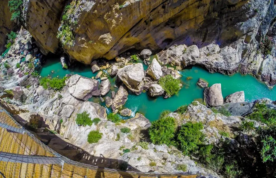 Romas_Photo/Shutterstock