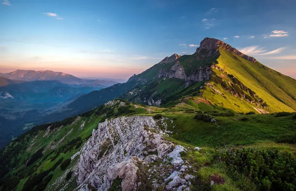 Borievky/Shutterstock