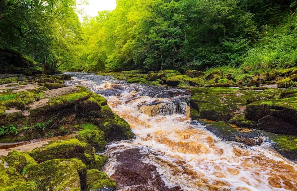 allouphoto/Shutterstock