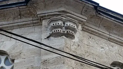 جنیفر هاتام - بسیاری از قصرهای پرنده ساختمان‌های مذهبی را تزئین می‌کنند (منبع: جنیفر هاتام)