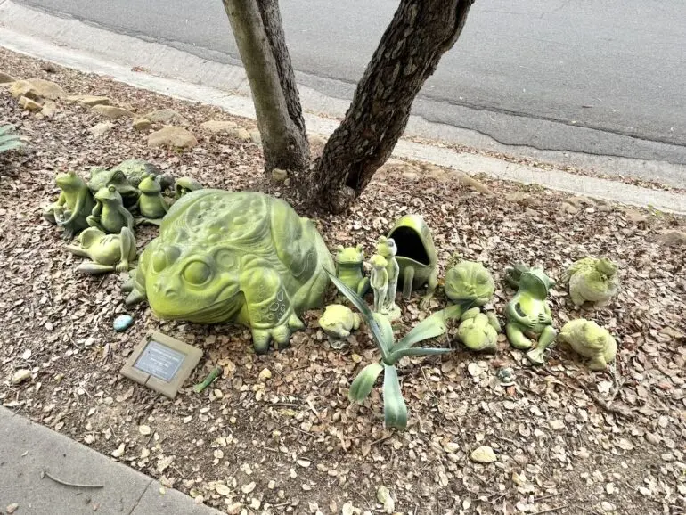 دیوار قورباغه تازه شد دیوار قورباغه تازه شد