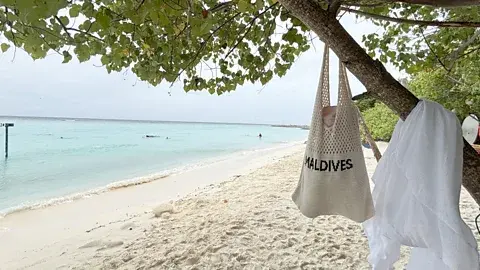 کارمن رابرتس جزایر محلی سواحل بیکینی معین شدهای دارند که بازدیدکنندگان میتوانند بهآزادی شنا و آفتابگیری کنند (منبع: کارمن رابرتس)