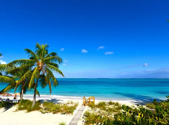 بهترین مکانها برای سفر با کودکان نوپا