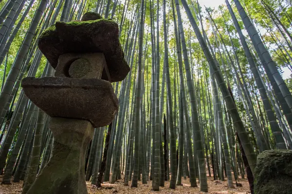 باغ بامبو هوکوکوجی، که گاهی «معبد بامبو» نامیده میشود...